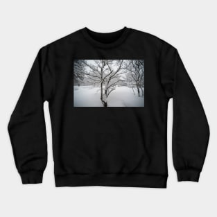 ... A freshly fallen silent shroud of snow Crewneck Sweatshirt